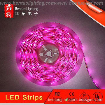 Super bright SMD5050 UL LED Strip Light from China Manufaturer